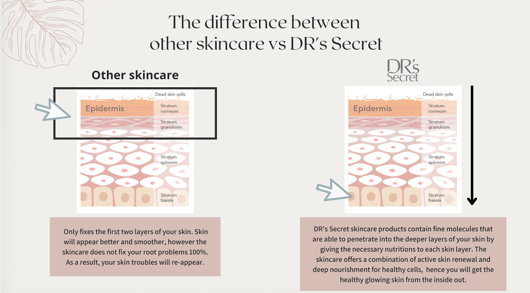 DR's Secret skin renewal